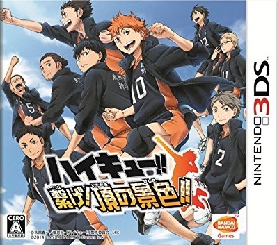 Haikyuu!! Tsunage! Itadaki no Keshiki!!