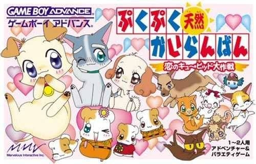 PukuPuku Tennen Kairanban: Koi no Cupid Daisakusen