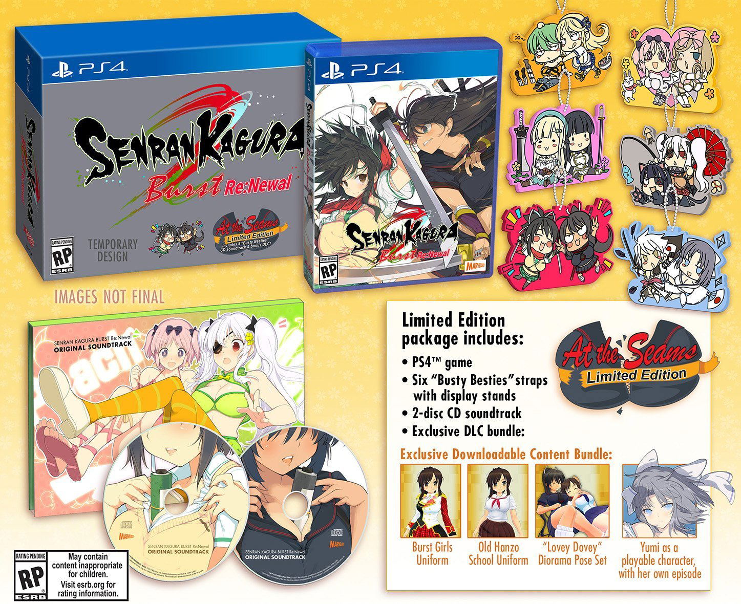 Senran Kagura Burst Re:Newal [At the Seams Edition]
