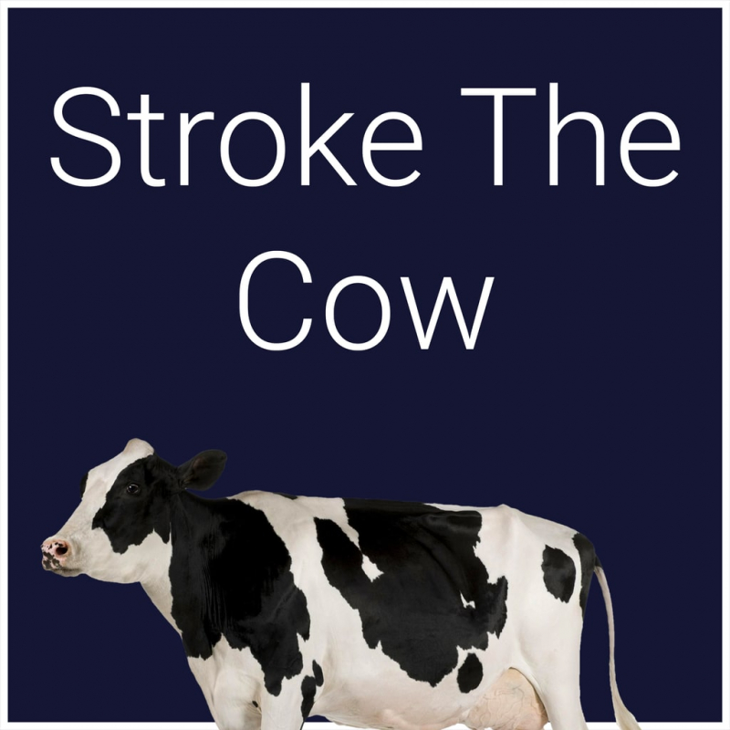 Stroke the Cow