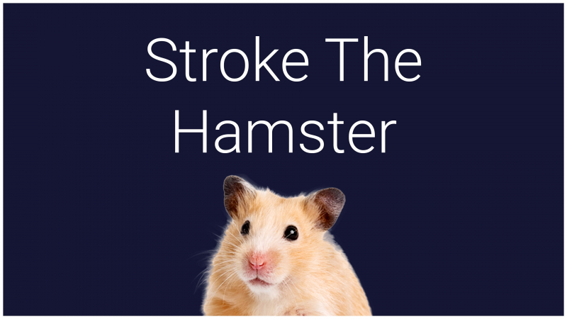 Stroke the Hamster