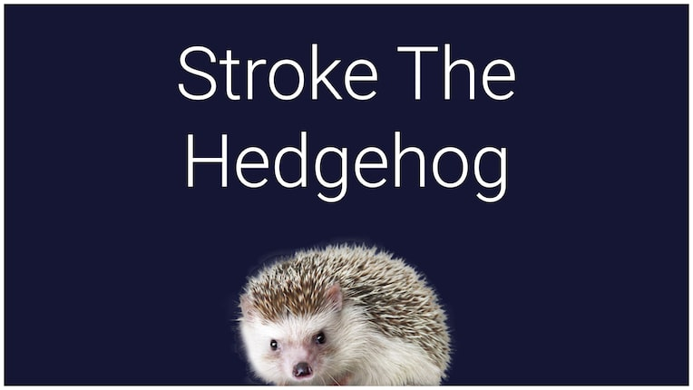 Stroke the Hedgehog