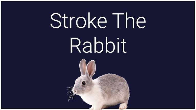 Stroke the Rabbit