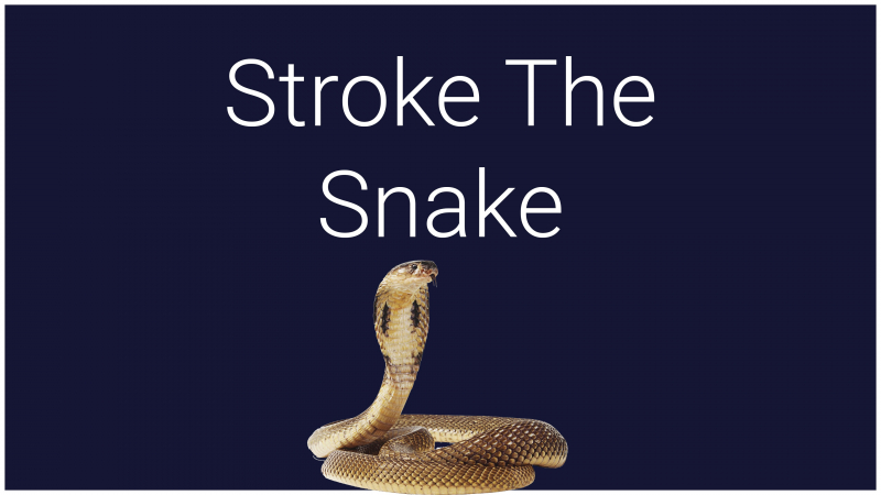 Stroke the Snake