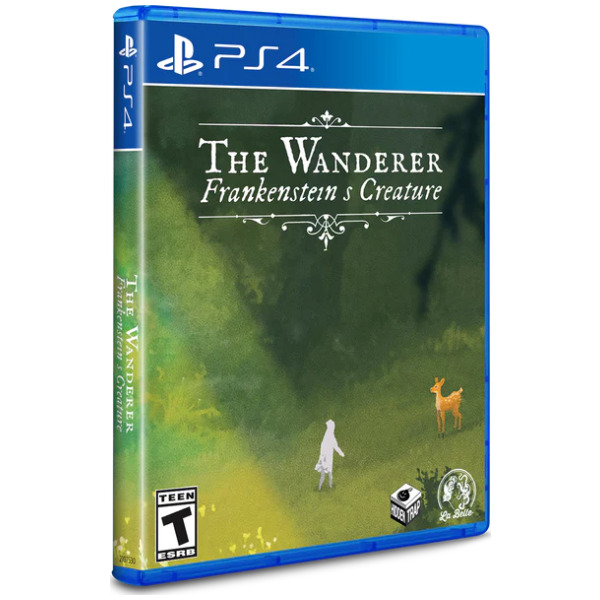The Wanderer Frankensteins Creature
