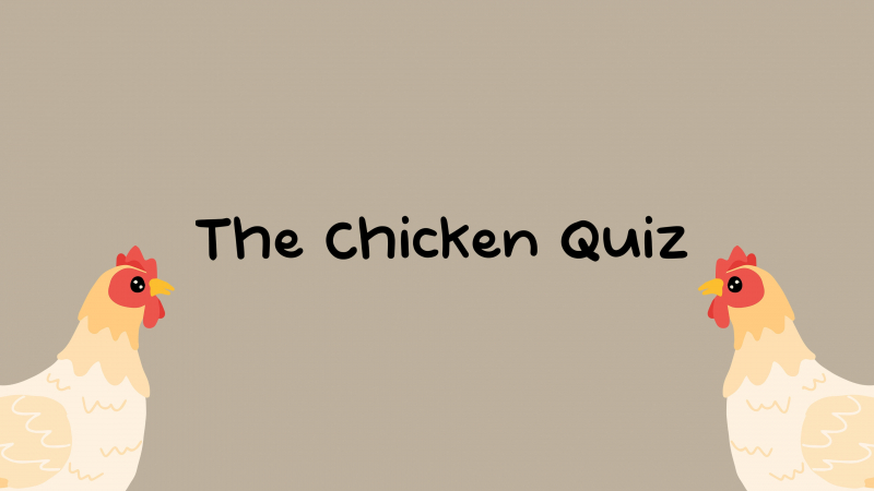 The Chicken Quiz