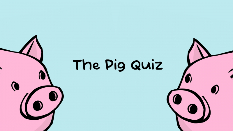 The Pig Quiz