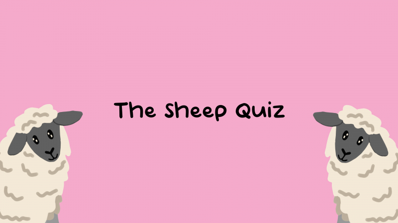 The Sheep Quiz