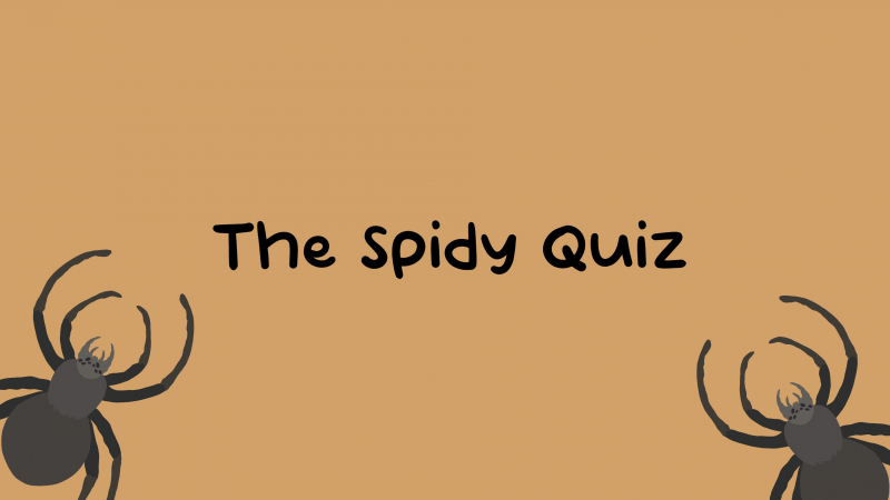 The Spidy Quiz